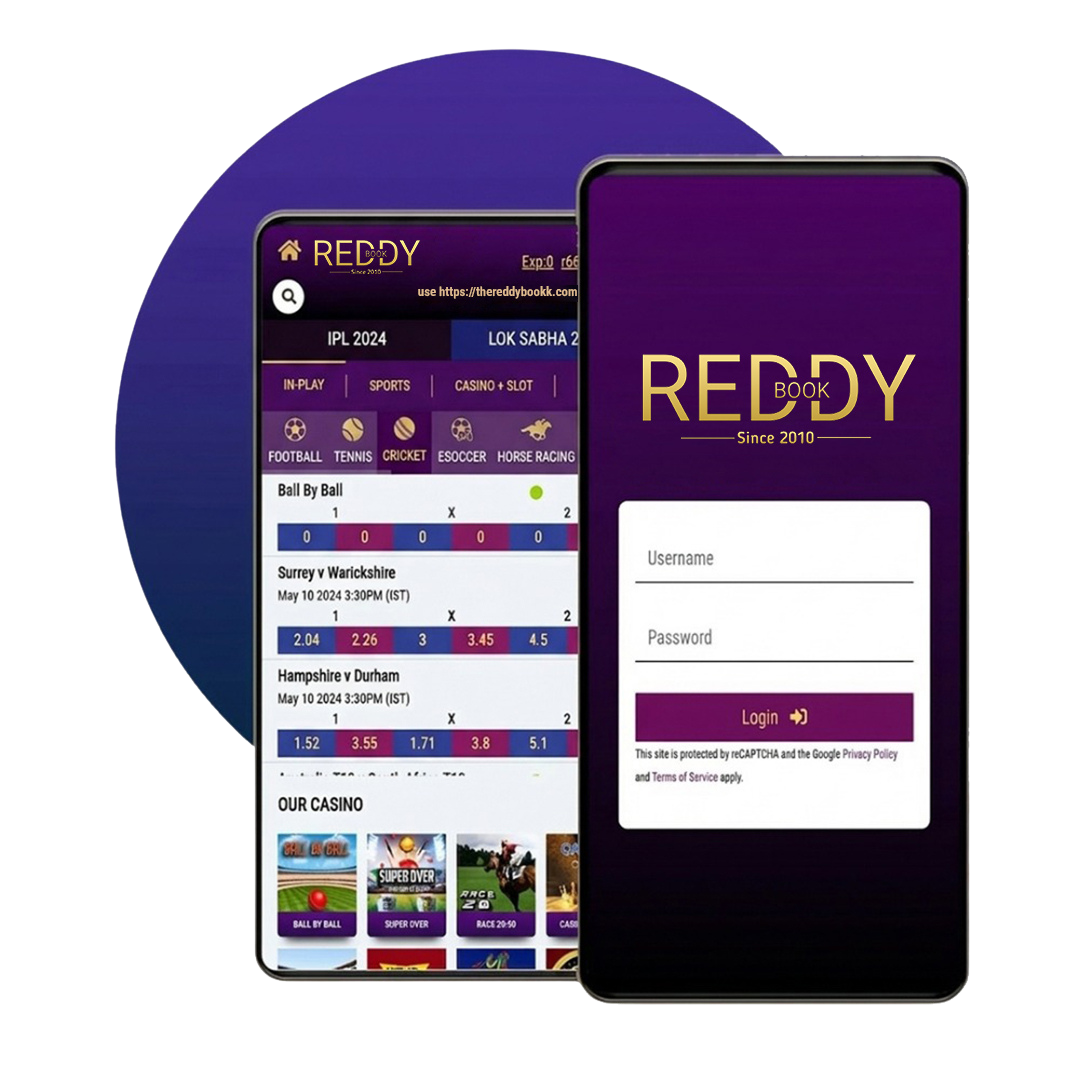 What Is Reddy Book